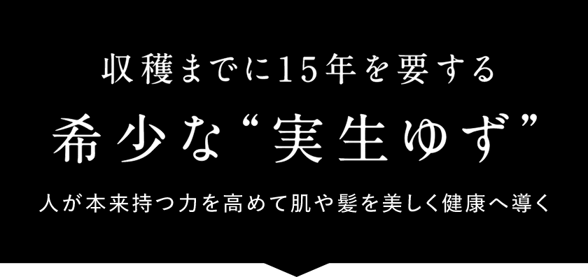 収穫までに15年を要する希少な実生ゆず