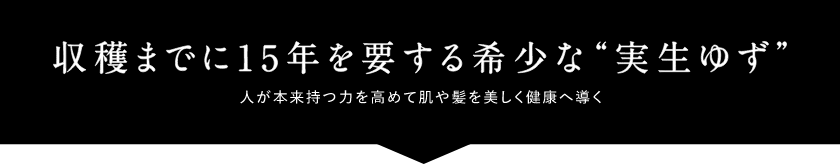 収穫までに15年を要する希少な実生ゆず